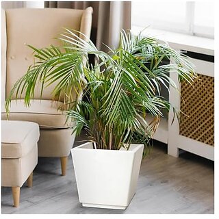 De Gardenia Pots and PlantersSize of GK 12 14 16 InchPack of 3 Pots for Plants Highly Durable Polymers Lightweight Indoor Outdoor Plant Pots (20 Inch(GK20) White) De Gardenia Pots and PlantersSize of GK 12 14 16 InchPack of 3 Pots for Plants Highly Durable Polymers Lightweight Indoor Outdoor Plant Pots (20 Inch(GK20) White)