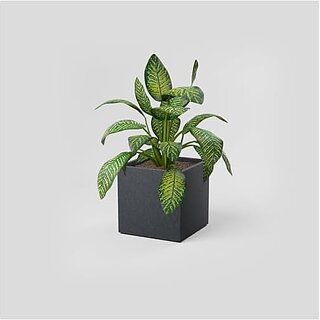 De Gardenia FOXB Cubo Cube Pots for Plants Highly Durable Lightweight Indoor/Outdoor Flower Pot Gamla Tree Planter for Balcony Garden Office (Grey 10 Inch) De Gardenia FOXB Cubo Cube Pots for Plants Highly Durable Lightweight Indoor/Outdoor Flower Pot Gamla Tree Planter for Balcony Garden Office (Grey 10 Inch)
