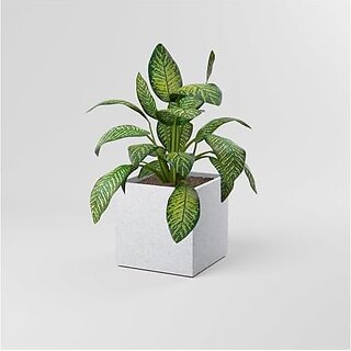                       De Gardenia FOXB Cubo Cube Pots for Plants Highly Durable Lightweight Indoor/Outdoor Flower Pot Gamla Tree Planter for Balcony Garden Office (Marble White 17 Inch)                                              