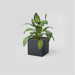                       De Gardenia FOXB Cubo Cube Pots for Plants Highly Durable Lightweight Indoor/Outdoor Flower Pot Gamla Tree Planter for Balcony Garden Office (Grey 10 Inch)                                              