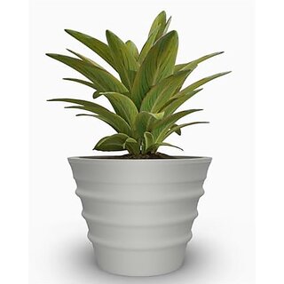 De Gardenia Fox BR 181412 INCH Pots for Plants Highly Durable Fiberstone Lightweight Indoor Outdoor Flower PotGamla Tree Planter Container Planters for Living Room (14 Inch (BR 1114) White) De Gardenia Fox BR 181412 INCH Pots for Plants Highly Durable Fiberstone Lightweight Indoor Outdoor Flower PotGamla Tree Planter Container Planters for Living Room (14 Inch (BR 1114) White)