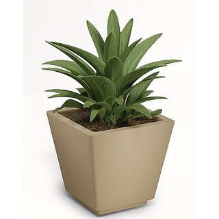                       De Gardenia Pots and PlantersSize of GK 12 14 16 InchPack of 3 Pots for Plants Highly Durable Polymers Lightweight Indoor Outdoor Plant Pots (12 Inch(GK12) Beige)                                              