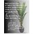 De Gardenia Artificial Areca Palm Plant 6.6 FT Tall Faux Palm Tree with 15 Trunks - Silk Fake Plant for Home Decor Office Living Room - Perfect Housewarming Gift (Pot Not Included)