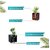 De Gardenia FOXB Cubo Cube Pots for Plants Highly Durable Lightweight Indoor/Outdoor Flower Pot Gamla Tree Planter for Balcony Garden Office (Grey 10 Inch)