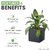 De Gardenia FOXB Cubo Cube Pots for Plants Highly Durable Lightweight Indoor/Outdoor Flower Pot Gamla Tree Planter for Balcony Garden Office (Grey 10 Inch)