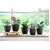 De Gardenia 11 Cm Small Black Plastic Planters Set of 5 | Modern Decorative Nursery Pots for Indoor and Outdoor Garden House Plants Flowers Herbs African Violets