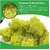 De Gardenia Preserved Reindeer Moss Natural Multicolored Moss for Crafts DIY Arts Home and Office Wall Decor  Bulk 100g to 1000g Packs (Yellow 1kg)