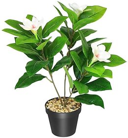 De Gardenia Artificial Magnolia Plant - 18 cm White Flowers with Black Pot Green Leaves - Tabletop Home and Office Decor