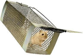 Metal Rat Trap Cage Mouse Pinjra Pack of 1 pic