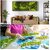 De Gardenia Preserved Reindeer Moss Natural Multicolored Moss for Crafts DIY Arts Home and Office Wall Decor  Bulk 100g to 1000g Packs (Deep Green 200g)