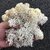 De Gardenia Preserved Reindeer Moss Natural Multicolored Moss for Crafts DIY Arts Home and Office Wall Decor  Bulk 100g to 1000g Packs (White 1kg)