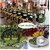 De Gardenia Preserved Reindeer Moss Natural Multicolored Moss for Crafts DIY Arts Home and Office Wall Decor  Bulk 100g to 1000g Packs (White 1kg)