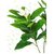 De Gardenia Artificial Magnolia Plant - 18 cm White Flowers with Black Pot Green Leaves - Tabletop Home and Office Decor