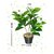 De Gardenia Artificial Magnolia Plant - 18 cm White Flowers with Black Pot Green Leaves - Tabletop Home and Office Decor