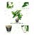 De Gardenia Artificial Magnolia Plant - 18 cm White Flowers with Black Pot Green Leaves - Tabletop Home and Office Decor