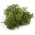 De Gardenia Preserved Reindeer Moss Natural Multicolored Moss for Crafts DIY Arts Home and Office Wall Decor  Bulk 100g to 1000g Packs (Deep Green 1kg)