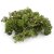 De Gardenia Preserved Reindeer Moss Natural Multicolored Moss for Crafts DIY Arts Home and Office Wall Decor  Bulk 100g to 1000g Packs (Deep Green 1kg)