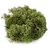 De Gardenia Preserved Reindeer Moss Natural Multicolored Moss for Crafts DIY Arts Home and Office Wall Decor  Bulk 100g to 1000g Packs (Deep Green 1kg)