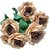 De Gardenia Artificial Rose Flowers Bunch 9 Flower Heads 10 x 17.5 Inches Home Decor  Office Decor  Perfect for Gifting (2 Beige & Brown)