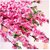 De Gardenia 5 PCS Artificial Peach Blossom Bouquet 49 Inch Silk Faux Flowers for Home Wedding and Vase Decoration (Dark Pink)