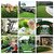 De Gardenia High Density Artificial Grass | Premium Lawn Turf | Indoor and Outdoor Use Carpet Mat | Dust and Waterproof | Skin Friendly | Artificial Grass Carpet Mat | 35/40MM (6.6X7 Sq ft 40MM)