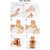 Toothbrush Holder Plastic Stand for Toothpaste, Comb, Brush, Drain Waterproof Self-Adhesive, Teddy Bear
