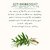 Lotus Organics+ Dandruff Control Shampoo (300 Ml)
