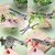 Stainless Steel Vegetable and Herb Scissor with 5 Blade Comb, Cleaning Brush