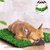 (Pack of 2) De Gardenia Artificial Grass Mat for Outdoor Balcony Dcor (12x18 Inch) Green Lawn Floor Carpet Living RoomHome and Kitchen Floor MatOutdoor Carpet Waterproof (Natural Green), Artificial Grass
