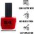 Doxie Nail Polish - Vibrant Color, Flawless Finish, Long-lasting All Day (DARK RED PACK OF 1)