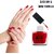 Doxie Nail Polish - Vibrant Color, Flawless Finish, Long-lasting All Day (DARK RED PACK OF 1)