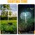 Daybetter Jellyfish Solar Garden Lights Â 7 Color Led Jellyfish ShapeFiber Outdoor Pathway Waterproof Solar String Lights Decoration For Yard Garden Â Balcony (Multi-Color) (Pack Of2) Tar-Ge6