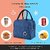Insulated Lunch Bags Small for Men    Women  Tiffin Bag for Kids Picnic Organizer Lunch Bag Portable    Reusable (Blue)