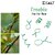 46 cm Iron Garden Stake (Pack of 2) - Durable Plant Support and Landscape Stabilizer for Flowers, Vegetables,