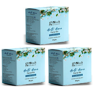 Globus Naturals Anti Acne 6 Step Facial Kit For Oil Control Unclogging Pore Suitable For Oily Acne Prone Skin 40gm Set of 3 Globus Naturals Anti Acne 6 Step Facial Kit For Oil Control Unclogging Pore Suitable For Oily Acne Prone Skin 40gm Set of 3