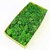 De Gardenia Preserved Reindeer Moss Natural Multicolored Moss for Crafts DIY Arts Home and Office Wall Decor Bulk 100g to 1000g Packs (Dark Green 100g)