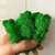 De Gardenia Preserved Reindeer Moss Natural Multicolored Moss for Crafts DIY Arts Home and Office Wall Decor Bulk 100g to 1000g Packs (Dark Green 100g)