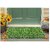 De Gardenia Artificial Grass Mat for Outdoor Balcony Dxc3xa9cor| (12x18 Inch)| Green Lawn Floor Carpet Living Room|Home and Kitchen Floor Mat|Outdoor Carpet Waterproof (Natural Green) Artificial Grass