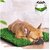 De Gardenia Artificial Grass Mat for Outdoor Balcony Dxc3xa9cor| (12x18 Inch)| Green Lawn Floor Carpet Living Room|Home and Kitchen Floor Mat|Outdoor Carpet Waterproof (Natural Green) Artificial Grass