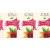 Lotus Herbals Lip Therapy Velvety Rose  4G   Pack Of 2