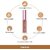 Lotus Make-Up Ecostay Concealer (Natural Honey Ec04, 7 G)