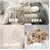 (Pack of 2) Mini Portable Manual Lint Remover Reusable Lint Remover for Clothes and Carpet Hair Remover for Couch Multicolor