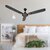 ZOOM Snow air Ceiling Fan for Home | 48 inch ceilling fan with design and decorative pankha | BEE Star Rated Ceiling Fan | 2 year warranty