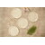 Aurka Melamine 11 Inch Full-Size Dinner Plates - White  Gold, Set of 4, Durable  Stylish