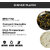 Ariya Melamine 10.5 Inch Dinner Plates - Black & Gold, Set of 3 | Durable, Lightweight & Easy to Clean