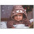 Cute Baby Poster for Pregnant Women - Smart Books Publishers | 300 GSM Glossy | 13x19 Inch | High-Quality Laminated & Waterproof Decor for Baby Rooms
