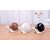 Cute Snail Soap Dispenser Hand Soap Pump Lotion, Hand Sanitizer, Shampoo, Shower Gel Dispenser for Bathroom, Kitchen Counter, Bathroom Accessories (Black)