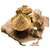 Natural Edible White Clay Chunks Food Grade Multani Mitti 100 Pure 750 gram
