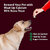 Dog Chew Bones 3 Inches