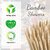 Wooden Toothpicks with Box  Cotton Buds for Ear Cleaning (100 Per Pack) 100 Toothpicks + 100 Cotton Buds Set